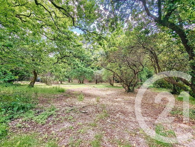 terrain à vendre - 1050.0 m2 - ARCACHON - 33 - AQUITAINE - Century 21 Duprat & Associés