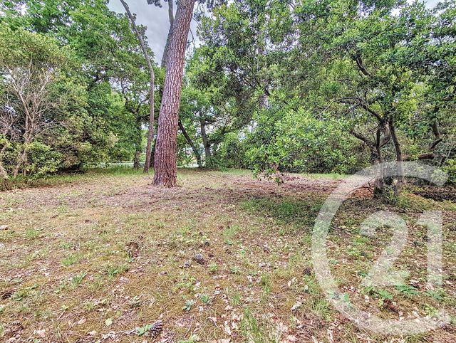 terrain à vendre - 1050.0 m2 - ARCACHON - 33 - AQUITAINE - Century 21 Duprat & Associés