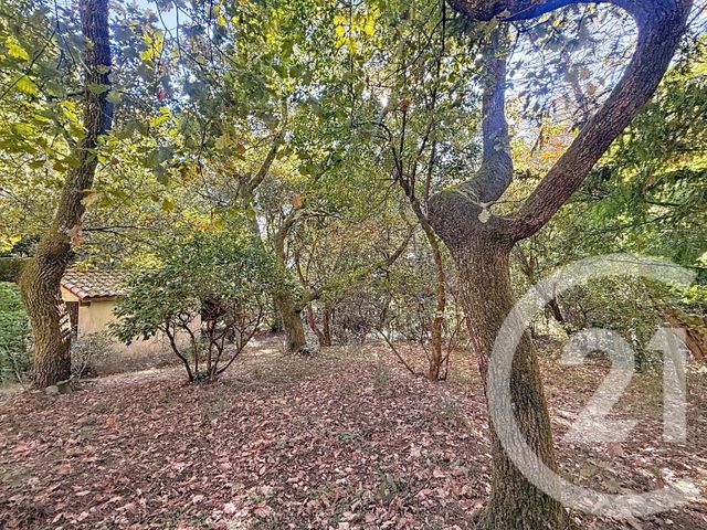 maison à vendre - 5 pièces - 137.8 m2 - ARCACHON - 33 - AQUITAINE - Century 21 Duprat & Associés